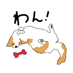 [LINEスタンプ] ダンクなボーダーコリー