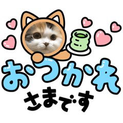 [LINEスタンプ] はぴちゃんの日常会話 No.4