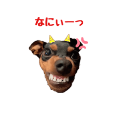 [LINEスタンプ] サイコパスChloe