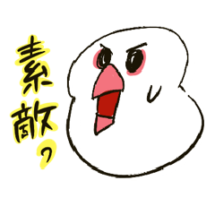 [LINEスタンプ] 文鳥くん＠情緒不安定スタンプ