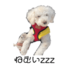 [LINEスタンプ] ぽてちのつぶやき