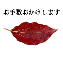 [LINEスタンプ] 落ち葉 と 敬語