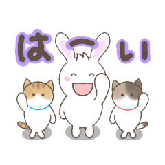 [LINEスタンプ] 使いやすい！日常スタンプ2