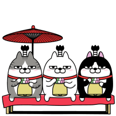 [LINEスタンプ] 動く 三匹の擦れねこ8