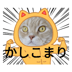 [LINEスタンプ] はるより心込めてご挨拶