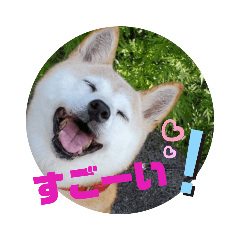 [LINEスタンプ] みんなと一緒12