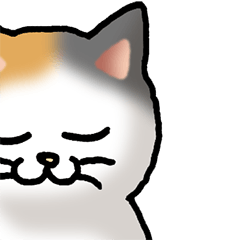[LINEスタンプ] 猫敬語パート1の画像（メイン）