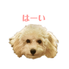 [LINEスタンプ] soyスタンプ1