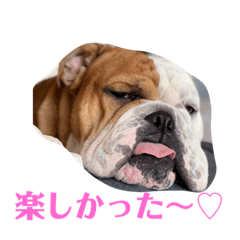 [LINEスタンプ] 大好き金太郎ごー