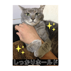 [LINEスタンプ] ゆうきのカミーユとジェリドのスタンプ
