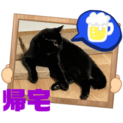 [LINEスタンプ] 猫愛スタンプ  ❷