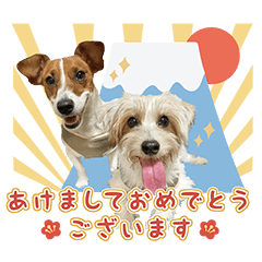 [LINEスタンプ] ジャックと愉快な仲間たち♪vol.2