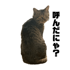 [LINEスタンプ] 俺、わさび