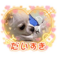 [LINEスタンプ] きゅんきゅん♡パールちゃん♡2