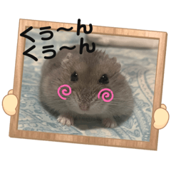 [LINEスタンプ] 床の間ハムスターぴの子4〜とぼけ編〜