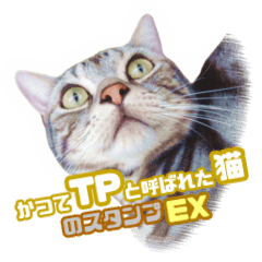 [LINEスタンプ] かつてTPと呼ばれた猫のスタンプEX