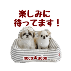 [LINEスタンプ] いろりんスタンプ3