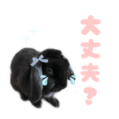 [LINEスタンプ] あずき_2
