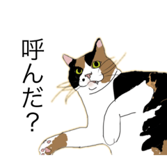 [LINEスタンプ] ネコッチャン