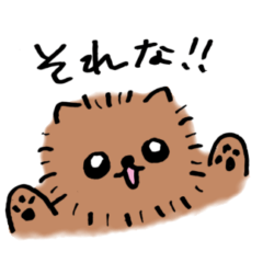 [LINEスタンプ] ポメラニアン ぷーちゃん