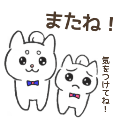 [LINEスタンプ] ポジティブ日常しろしば