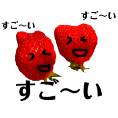 [LINEスタンプ] ベリーちゃん達のスタンプ