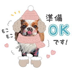 [LINEスタンプ] 寒い冬もバッチりんりん