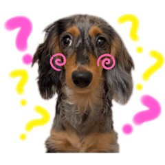 [LINEスタンプ] ねねスタンプっ！