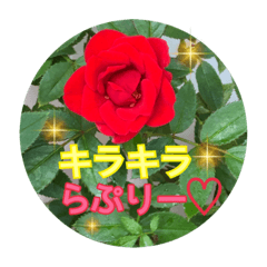 [LINEスタンプ] キラキラらぷりー
