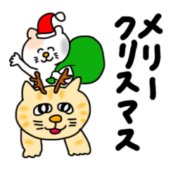 [LINEスタンプ] なになにニャンコ【冬】