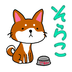 [LINEスタンプ] 柴犬そらこ