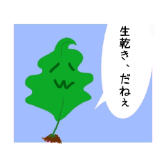 [LINEスタンプ] 生乾きわかめ