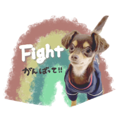 [LINEスタンプ] ♡おまめちゃん