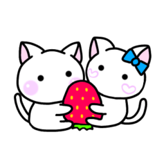 [LINEスタンプ] かわいい白ねこスタンプ