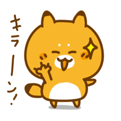 [LINEスタンプ] #コンかつ キツネのコンコン