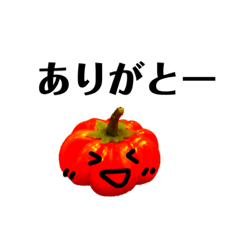 [LINEスタンプ] 挨拶スタンプ。リアルカボチャ？リアル柿？