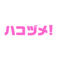 [LINEスタンプ] ハコヅメ＝ハシヅメ理論