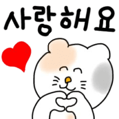 [LINEスタンプ] 動く☆なになにニャンコ（韓国語）