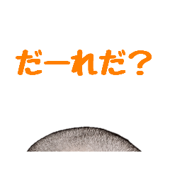 [LINEスタンプ] 西退ロースクール公式