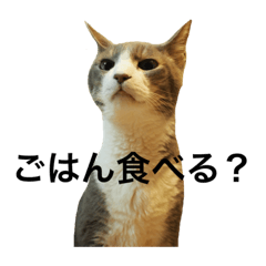 [LINEスタンプ] ちょびとまる2