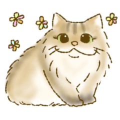 [LINEスタンプ] ふわもこチンチラペルシャ(ゴールデン）