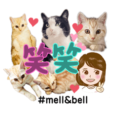 [LINEスタンプ] メルちゃん(^^)スタンプ