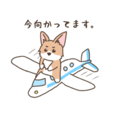 [LINEスタンプ] お茶目コーギー