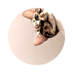 [LINEスタンプ] ベンガルのアリー