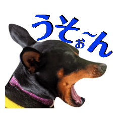 [LINEスタンプ] 名犬サクちゃん7