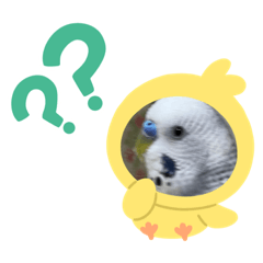[LINEスタンプ] ゆきちゃんスタンプ11