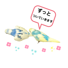 [LINEスタンプ] 可愛いセキセイインコ♡