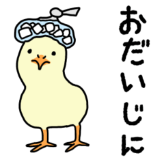 [LINEスタンプ] ひよこのピソとすずめのマヤ 冬のスタンプ