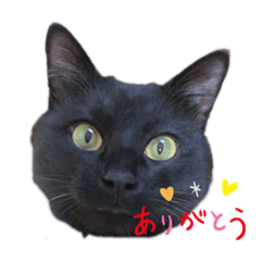 [LINEスタンプ] mm_20200525171352