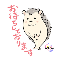 [LINEスタンプ] しおんの挨拶harryちゃん